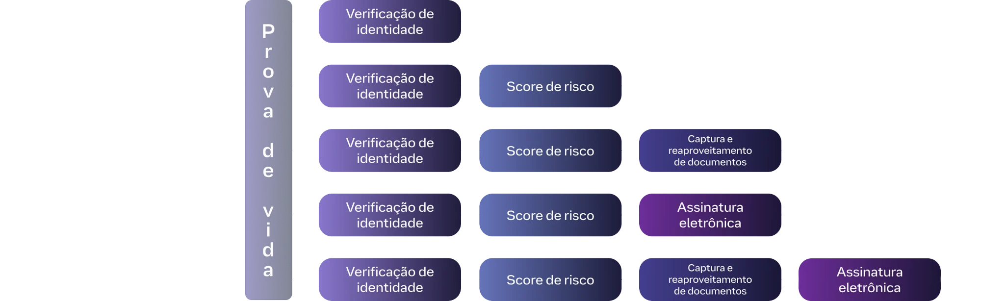 LP img 03 grafico_-3